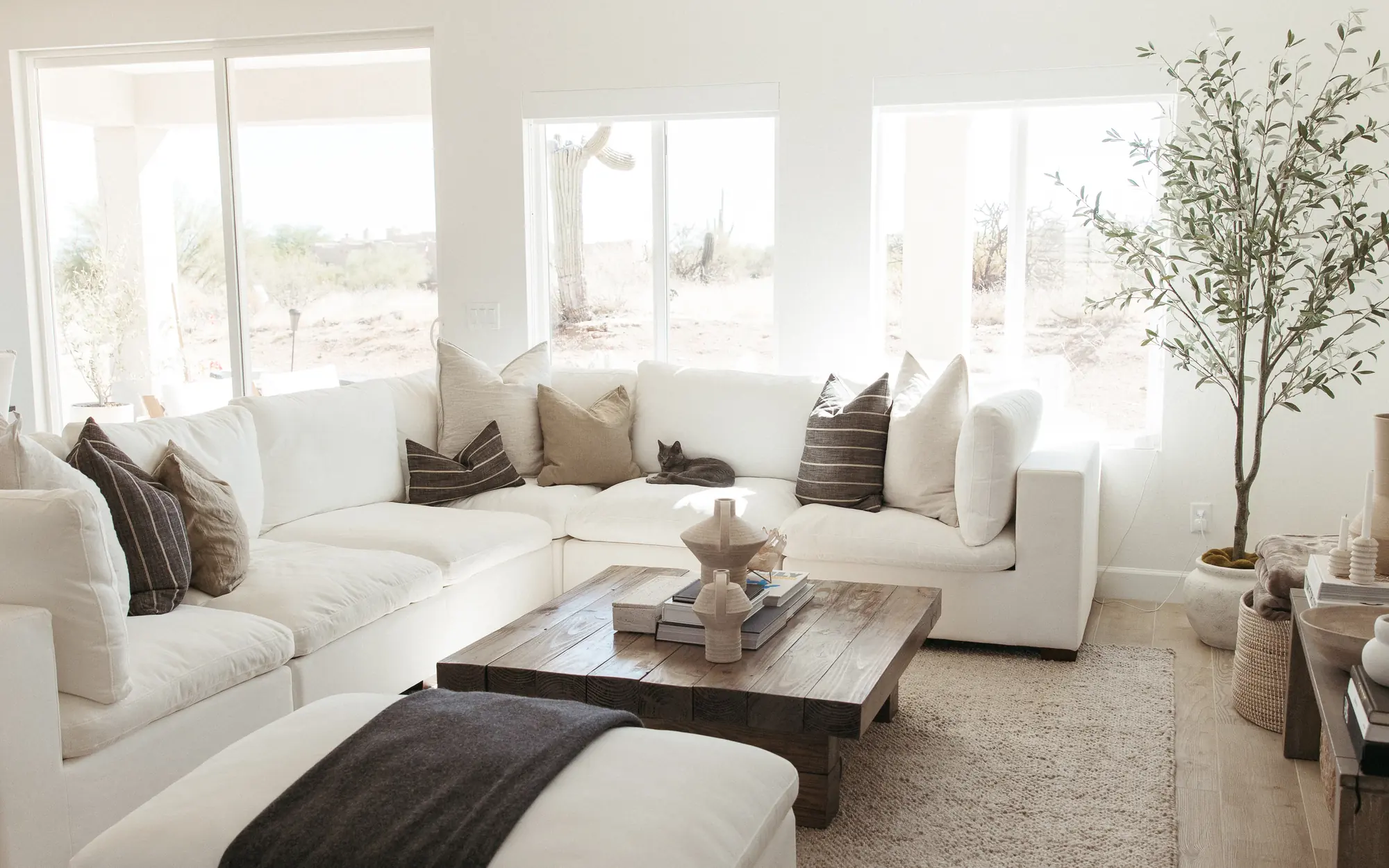 Desert Oasis, living room