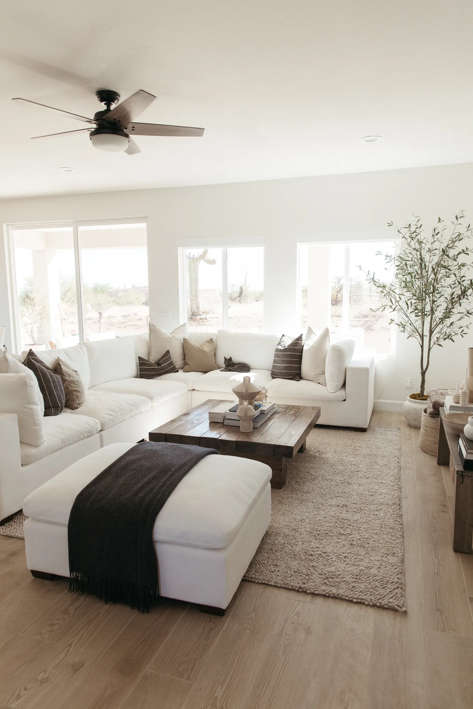 Open living room with linen seating and olive tree
